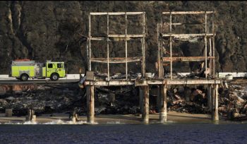 Image 1-28-25 at 1.07 PM